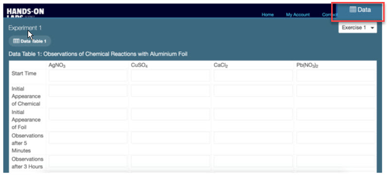 HOL Data Table