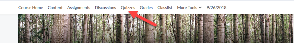 D2L Quizzes Tool